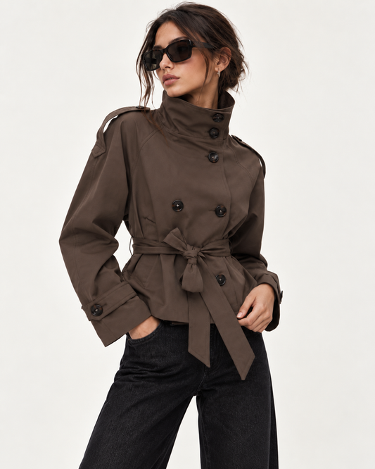 Trench Celine Brown